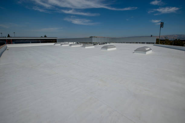 Best Cold Roofs  in Dover, TN