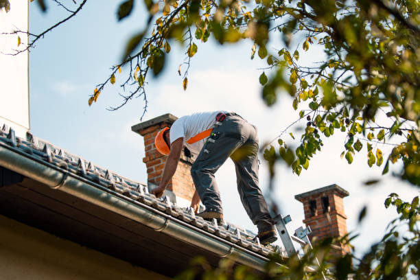 Best Chimney Flashing Repair  in Dover, TN