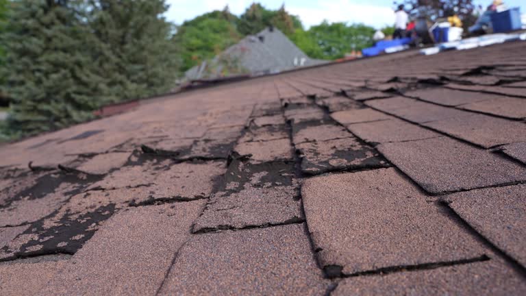 Best Roofing for New Construction  in Dover, TN