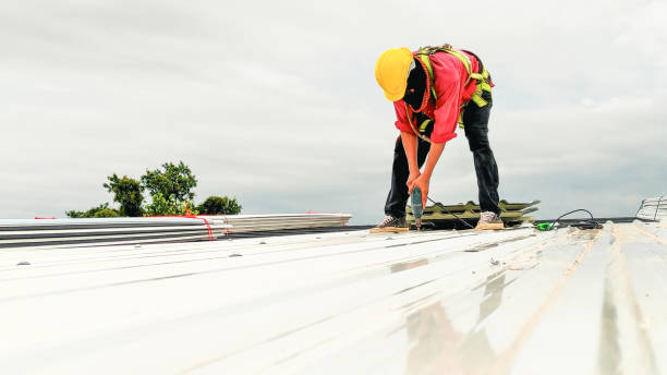 Best Skylight Installation and Repair  in Dover, TN